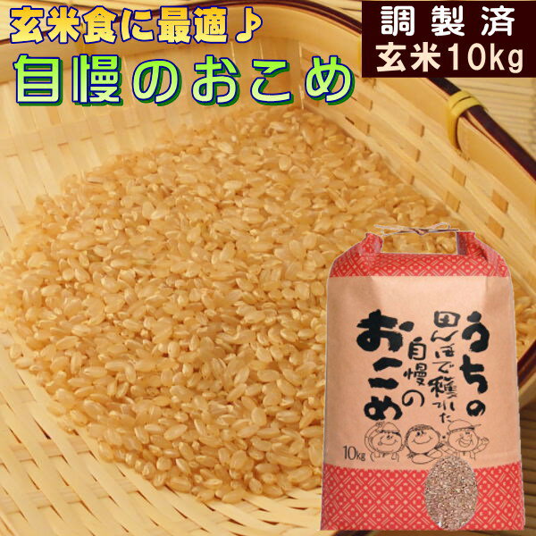 お米 10kg 送料無料 国内産 『うちの自慢のおこめ(調製玄米10kg)』