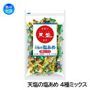 天塩の塩あめ 4種ミックス 1kg(約250粒) N16-09 熱中症対策 塩分補給
