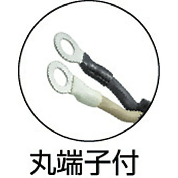 TRUSCO 溶接機用ケ-ブル 1次側 10m TWC-5510