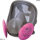 3M 取替式防じんマスク 6000F/2091-RL3 Mサイズ 6000F2091RL3M 1個