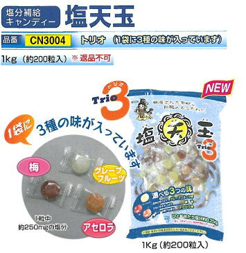 塩飴　熱中症対策用飴　選べる3つの味　塩分補給キャンディー　塩天玉　1kg（約200粒入り） CN3004