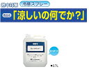 熱中症対策用品 冷感スプレー 「涼しいの何でか?」 詰替用 ...