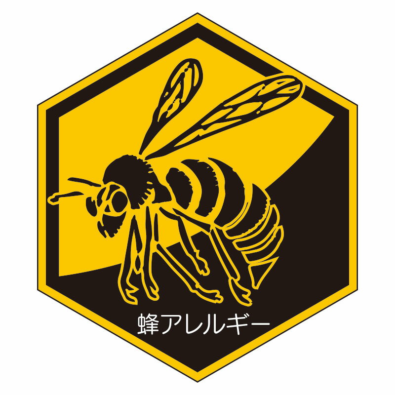 ˥å ˪륮ƥå 21 HO-5177 ڤ椦ѥåбġ͹ؼȡˡ