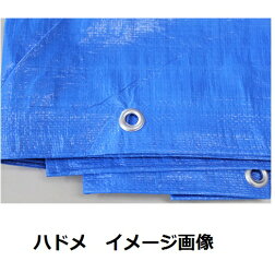 ジャンボシートブルーシート厚手♯300010×10m輸入2枚セット