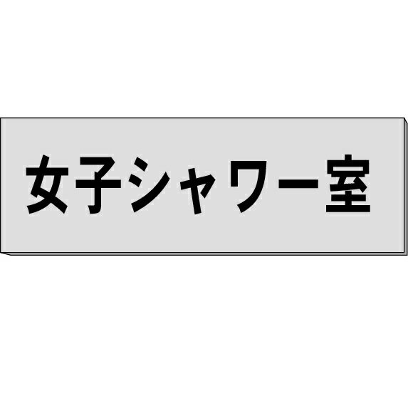 室名札「女子シャワー室」　グレー　H80×W240×3mm厚　【ゆうパケット対応可（郵便受け投函）】