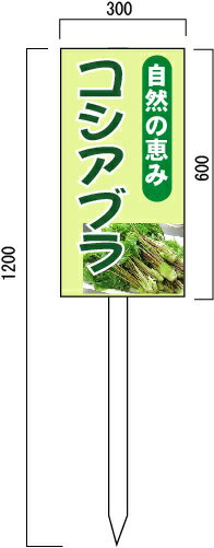 コシアブラ販売 山菜直売中 看板 (1) 600×300mm 木製支柱付表示板