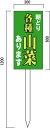 山菜販売 山菜直売中 看板 (2) 600×300mm 木製支柱付表示板