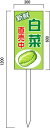白菜、新鮮野菜の販売促進看板 600×300mm 木製支柱付表示板