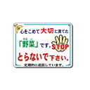 収穫の秋 野菜をとらないで 表示看板・作物盗難防止看板(中) 300*400