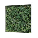 サインディスプレイ グリーンモード ウオールグリーン 60×60cm 透明アクリル板カバー GR3113 【個人宅配送不可】