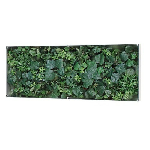 サインディスプレイ グリーンモード ウオールグリーン 90×35cm 透明アクリル板カバー GR3117　【個人宅配送不可】
