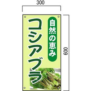 コシアブラ販売 山菜直売中 看板 600×300mm