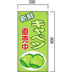 キャベツ、新鮮野菜の販売促進看板　　600×300mm