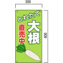 大根、新鮮野菜の販売促進看板 600×300mm