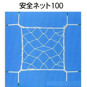 楽天市場】安全ネット 5m×5m 100mmの通販