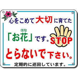 大切に育てた「花」をとらないで　表示看板・「お花」つみとり防止看板（中） 注目度抜群です 　300*400
