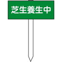 芝生養生中看板 木杭付(小・横) 縦120*横300