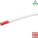 クレモナSロープ φ18mm×100m巻 (個人宅配送不可/代引き決済不可) PEロープ 作業ロープ 荷網 積荷 介錯ロープ 巾着網 港湾荷役用 登山用 漁業用 結束作業 園芸