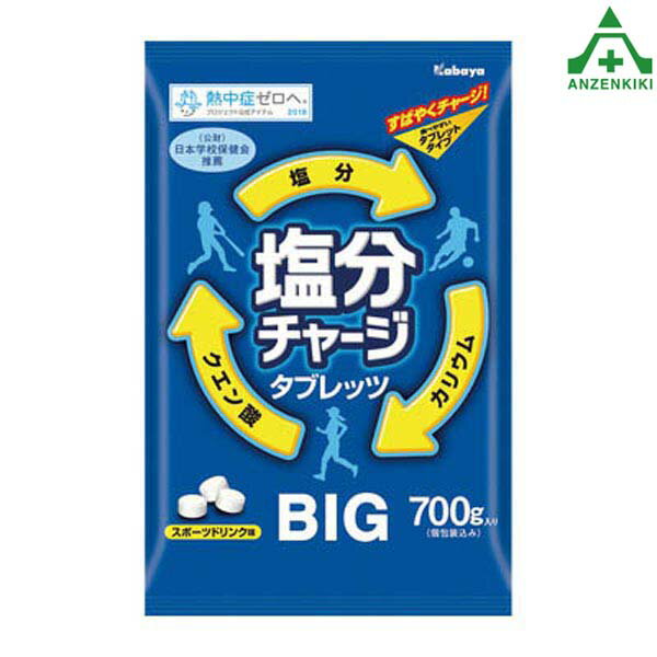 塩分チャージタブレッツBIG 700g (メーカー直送/代引き決済不可)熱中症予防 工事現場 熱中症対策 作業員 塩分補給