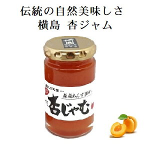 『手づくり杏ジャム 150g』長野県産 横島あんずジャム 着色料・保存料不使用 甘さ控えめ 低糖質の自然な美味しさ。あんずの甘酸っぱいを生かしたジャムです。