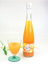 『杏 果汁』 490ml フレッシュな杏の香るこだわり製法