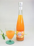 新鮮な生あんずからできた　あんず果汁 490ml　フレッシュな杏の香るこだわり製法