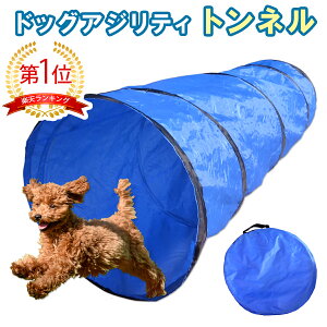 【犬用トンネル】安い！犬用プレイトンネルのおすすめを教えて！