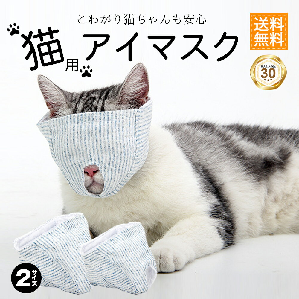 （まとめ） ねこがくれ ねこちゃんのつめみがき ワイド 詰め替え 2P 【×2セット】 （猫用玩具／爪磨き）