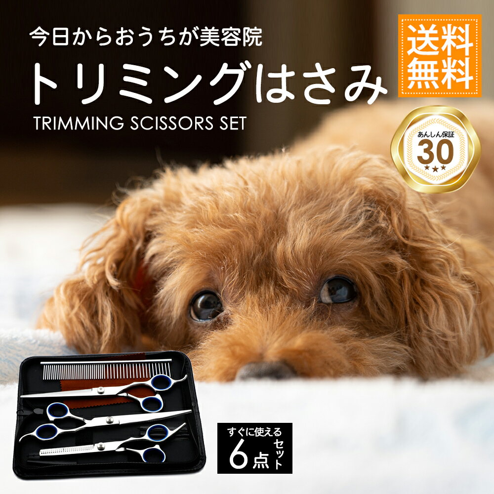 楽天1位 トリミングシザー トリミング ハサミ 6点セット ペット 猫 犬 お手入れ用品 足裏 顔 全身カット 初心者 鋏 スキバサミ くし コーム カーブハサミ カーブシザー セニングセザー カット …