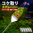 ＼P最大9倍 10日終日／ 楽天1位 スクレーパー 水槽用 苔取り 46cm コケ取り プロレイザー スクレイパー 水槽 ガラス面掃除 クリーナー 掃除 替え刃10枚付 アクアリウム 水草 苔 替刃 シャープ…