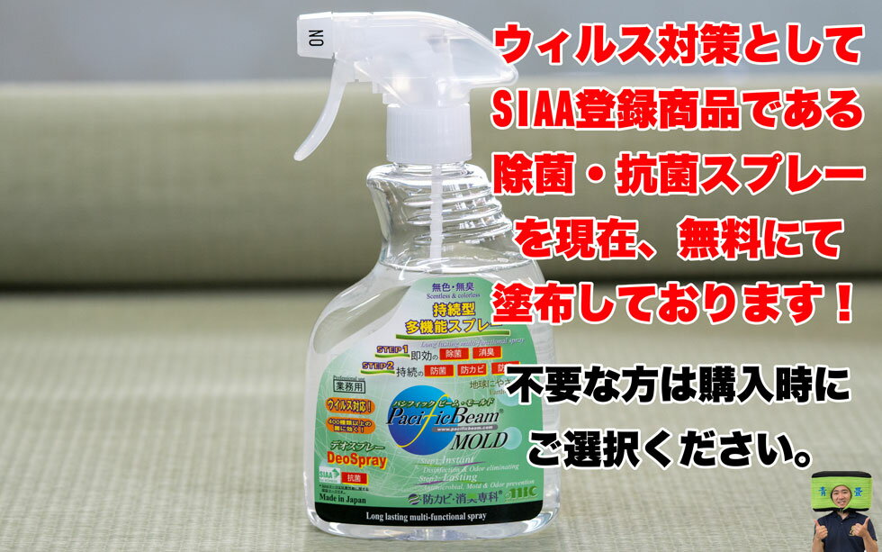 置き畳 和紙畳 【ちょっと寝転んで見る？】琉球畳 畳マット 国産 半畳 ダイケン畳 撥水 リビング（目積 清流20 青磁色9枚セット4.5畳） ユニット畳 フローリング畳 フロア畳 撥水 冬 カラー畳 フロアマット オーダー 正方形 インテリア 子供部屋 ラグ 夏 マットレス