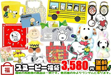 【個数限定！】【スヌーピー】3580円福袋！送料無料 送料込　ピーナッツ　Snoopy　チャーリーブラウン　ウッドストック　オラフ　ルーシー　ライナス　サリー　シュローダー　ピッグペン　フランクリン　マーシー　ペパーミントパティpeanut　ポーチ　バッグ　ランチグッズ等