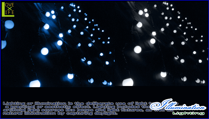 【LEDライト】【20 】LED　グローブカーテンライト【ボールライト】グローブライトにカーテンバージョンが登場♪丸い球が可愛くってGOOD♪【2012年新作】【送料無料】【大人気】【イルミネーション】【クリスマス】【LED】【大人気】