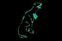 【イルミネーション】恐竜イルミネーション【ティラノサウルス】【グリーン】【恐竜】【アニマル】【動物】【平面】【壁掛け】【輝き】【電飾】【LED】【モチーフ】【クリスマス】【かわいい】