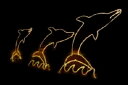 【イルミネーション】イルカイルミネーション【オレンジ】【イルカ】【アニマル】【動物】【平面】【壁掛け】【輝き】【電飾】【LED】【モチーフ】【クリスマス】【かわ...