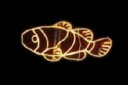 【イルミネーション】魚イルミネーション【イエロー】【クマノミ】【魚】【アニマル】【動物】【平面】【壁掛け】【輝き】【電飾】【LED】【モチーフ】【クリスマス】【...