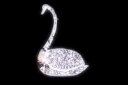 【イルミネーション】白鳥イルミネーション【ホワイト】【白鳥】【鳥】【アニマル】【動物】【平面】【壁掛け】【輝き】【電飾】【LED】【モチーフ】【クリスマス】【か...