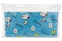 【スヌーピー】【SNOOPY】インナークリアマルチケースL【ブルー】【ピーナッツ】【PEANUTS】【すぬーぴー】【アニメ】【化粧ポーチ】【コスメポーチ】【ポーチ】【ケース】【小物入れ】【雑貨】【グッズ】【かわいい】(4)