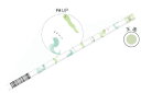 【日本製】 オリジナル 鉛筆2B ジューシーなへび タテ えんぴつ エンピツ 筆記用具 文房具 学校 勉強 雑貨 グッズ かわいい