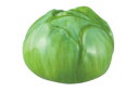 【送料無料】【オリジナル】野菜箸置き【芽キャベツ】【はし置き】【ハシ置き】【箸休め】【置き物】【食事】【食器】【キッチン】【雑貨】【グッズ】【かわいい】【TE】
