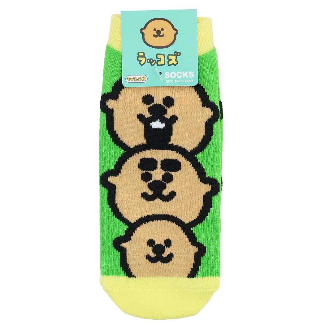 åRACCOS饯å3ɤưʪ˥ޥ롡åĤĲեå󡡥ǥߡå襤