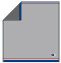 Champion チャンピオン ウォッシュタオルグレー シンプルカラーロゴ ブランド メーカー タオル たおる ミニタオル ハンドタオル ハンカチ スポーツ ア...