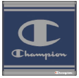 【送料無料】【Champion】【チャンピオン】ミニタオル【ブルー】【青】【シンプルラインロゴ】【ブランド】【メーカー】【タオル】【たおる】【ハンドタオル】【ハンカチ】【スポーツ】【アウトドア】【雑貨】【グッズ】【かわいい】