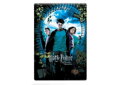 【送料無料】【ハリーポッター】ポストカード【10】【魔法】【ホグワーツ】【映画】【ハガキ】【手紙】【はがき】【てがみ】【絵】【レター】【雑貨】【グッズ】【かわい...