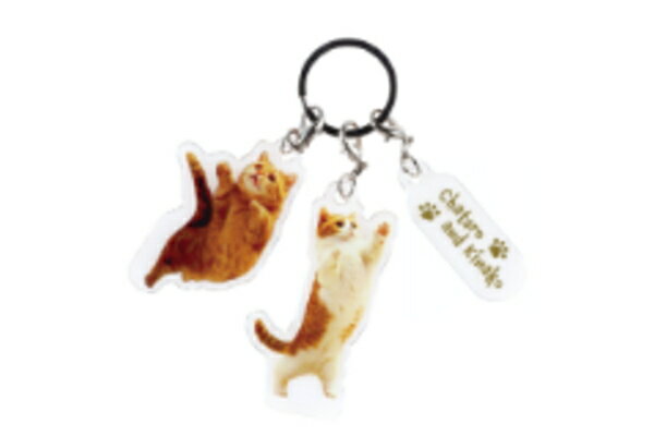 オリジナル　3連アクリルキーホルダー茶太郎ときなこ　ネコ　動物　アニマル　キーホルダー　キーリン..