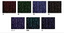 【イルミネーション】RGB160球カーテンライト【レインボー】【カラフル】【シルバーコード】【きれい】【美しい】【光】【冬】【クリスマス】【パーティー】【イベント】【飾り】【エコ】【電飾】【野外】【屋外】【雑貨】【グッズ】【かわいい】