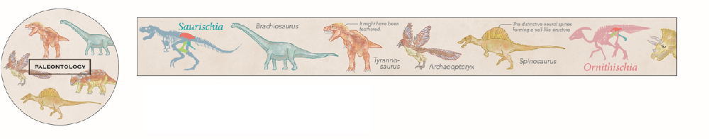 【5個セット】　【セット】　【セット商品】　オリジナル　マスキングテープ新説　古生物学　STUDY HOL..