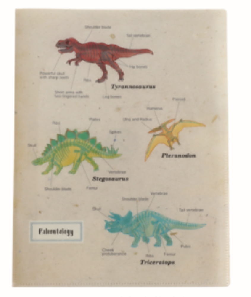 【送料無料】　オリジナル　A4クリアブックファイル古生物学　STUDY HOLIC　ケース　カバー　ファイル..