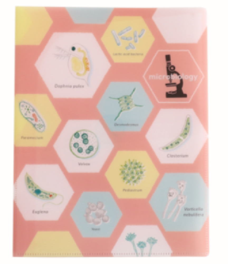 オリジナル　A4クリアブックファイル微生物学　STUDY HOLIC　ケース　カバー　ファイル入れ　収納　文..