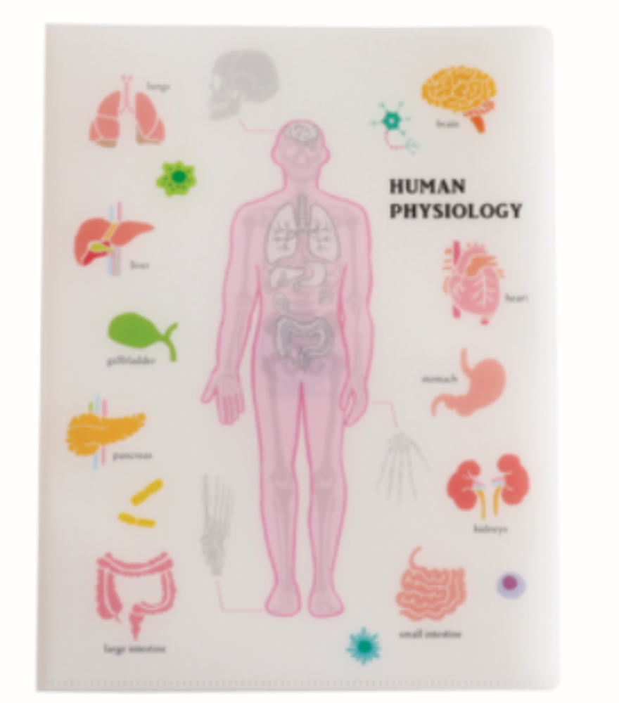 オリジナル　A4クリアブックファイル人類生物学　STUDY HOLIC　ケース　カバー　ファイル入れ　収納　..